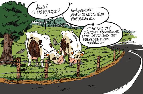 L’achat d’une voiture électrique pour une clinique...
