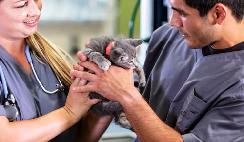 Santé animale : quand la prévention permet de limi...