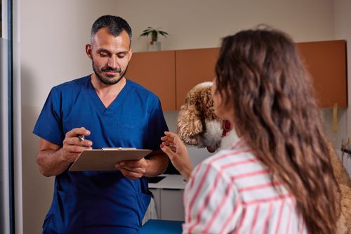 Assurance santé animale : l’Ordre rappelle les int...