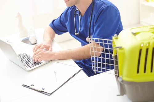 CalypsoVet poursuit son développement